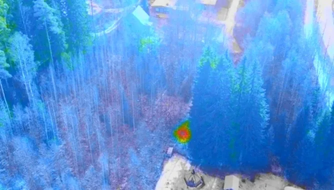 Lämpöjälki metsämaastossa